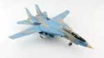 ماکت هواپیما Grumman F-14A Tomcat نیرو هوایی جمهوری اسلامی ایران (3)