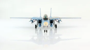 ماکت هواپیما Grumman F-14A Tomcat نیرو هوایی جمهوری اسلامی ایران (4)