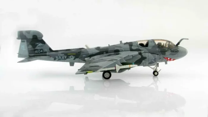 ماکت هواپیما هابی مستر Grumman EA-6B Prowler میدان هوایی افغانستان (6)