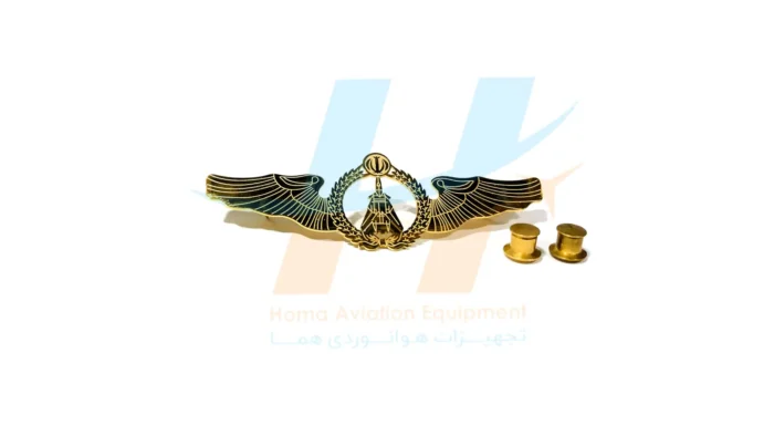 F-14 Tomcat wing w007