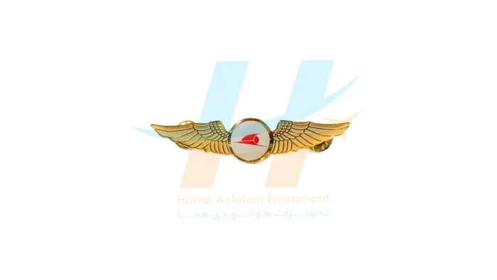 وینگ هواپیمایی قشم