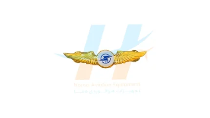 وینگ شرکت فرودگاهی