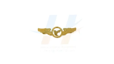 وینگ هواپیمایی ایران ایر مدل W023