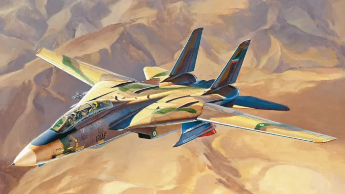 کیت هواپیما F-14A TomCat 81771 نیرو هوایی ایران (2)
