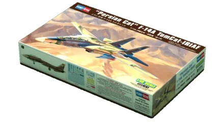 کیت هواپیما F-14A TomCat 81771 نیرو هوایی ایران (3)
