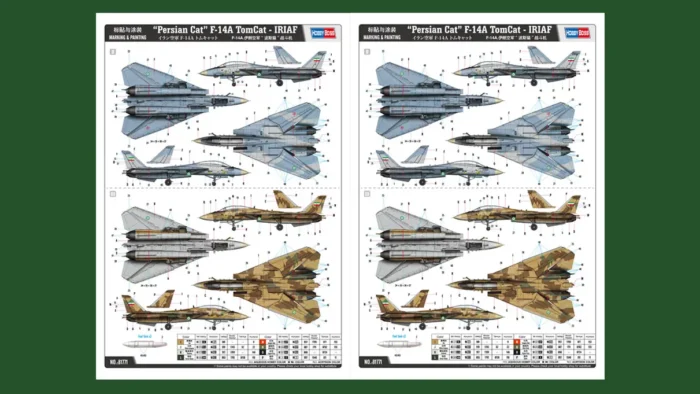 کیت هواپیما F-14A TomCat 81771 نیرو هوایی ایران (5)