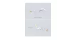 گوشواره طرح هواپیما مدل PE008 (1)
