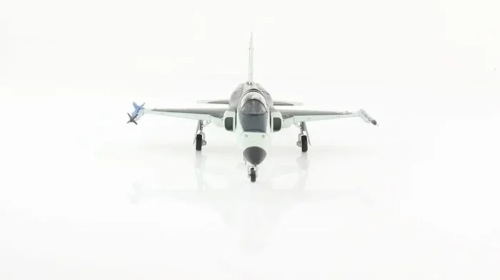 ماکت هواپیما جنگی اف 5 Northrop Grumman F-5N نیروی هوایی آمریکا مقیاس 1:72 (6)