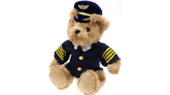 teddy pilot
