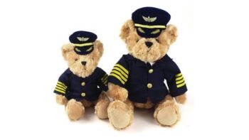 teddy pilot
