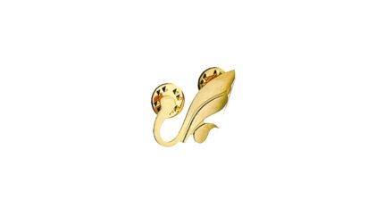 mahan-airlines-hat-pin