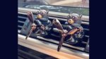 Bear Pilot Car Air Freshener-AF010